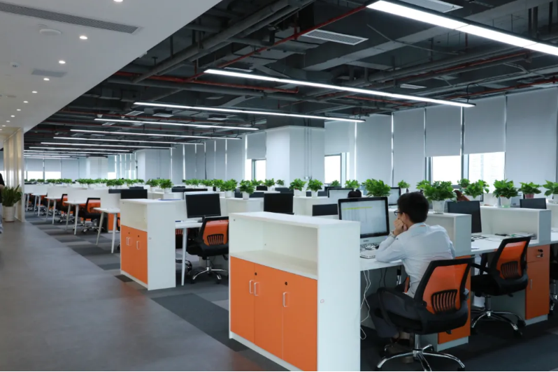 开云(中国)集团 开云(中国)集团