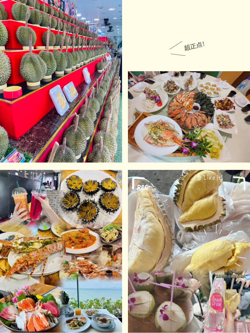 开云(中国)集团 开云(中国)集团