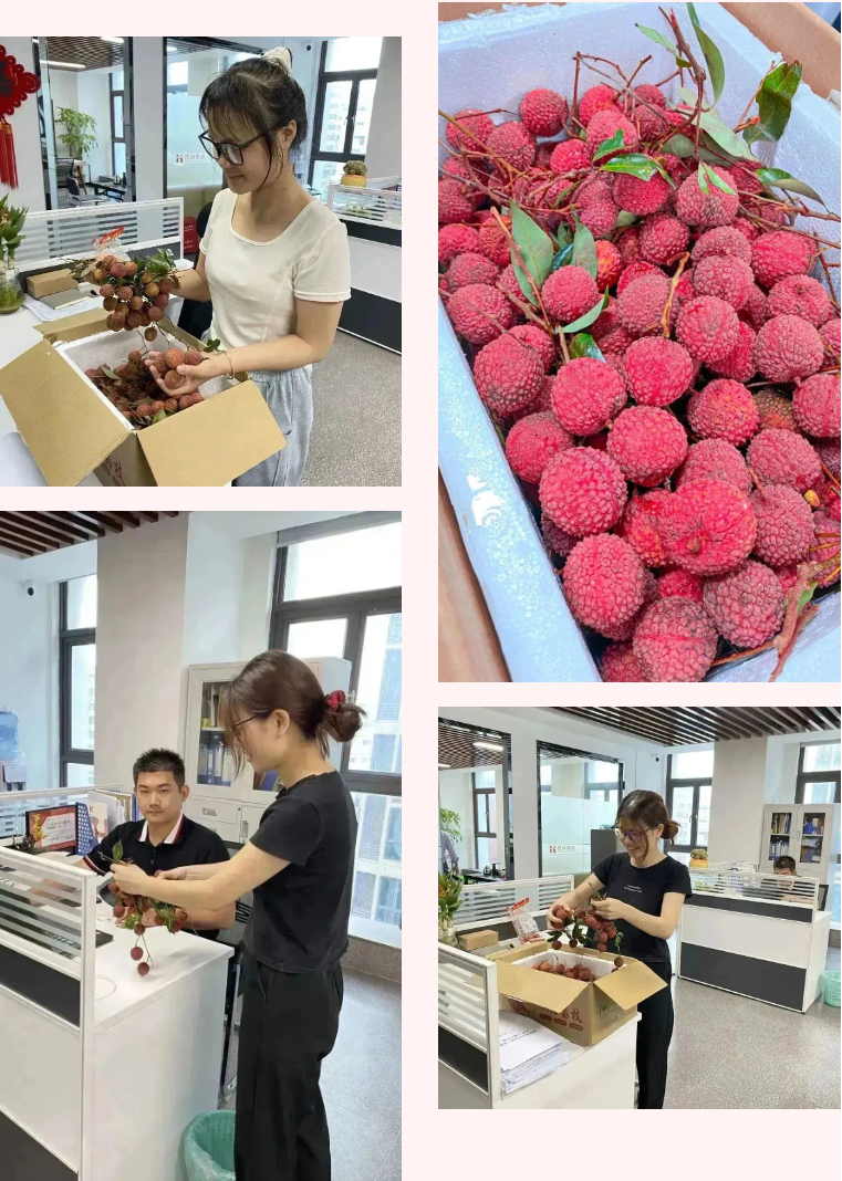 64ab9ed0c4a48.png 3.png