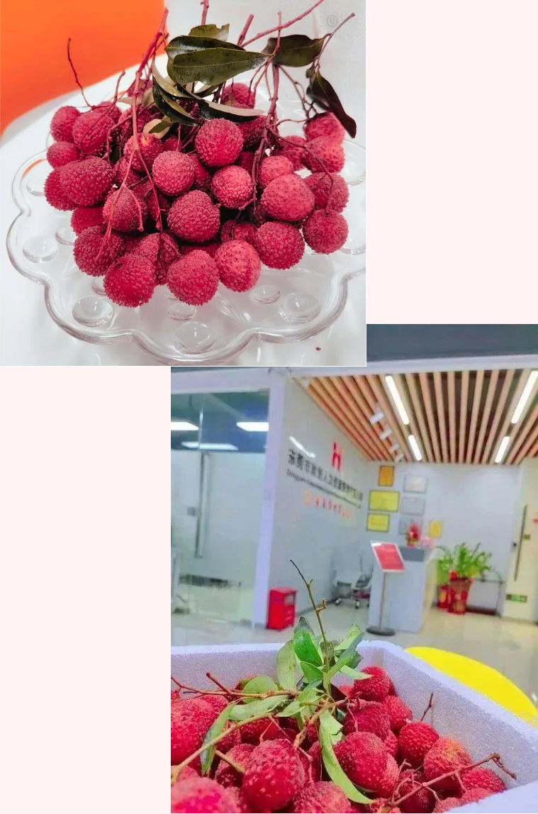 64ab9ed76eeca.png 4.png