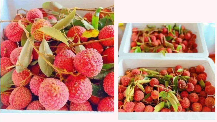 64ab9ee96c264.png 7.png