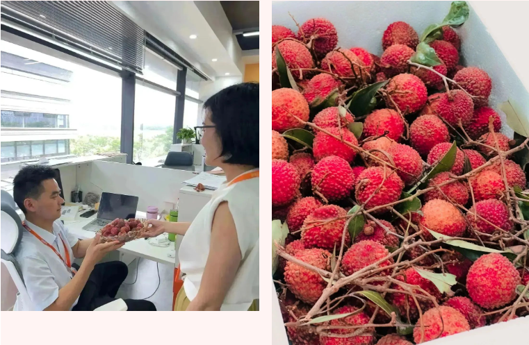 64ab9eef6ca30.png 8.png