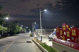 开云（中国）集团罗宁弟爱心捐赠路灯，点亮乡村路温暖乡民心